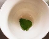 鳥取紅茶陣構のレモンバームティー作り方10写真