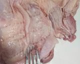 お弁当★本格的タンドリーチキン★鶏モモ肉作り方1写真