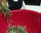 リカちゃん♡切り昆布とするめの松前風❁˚作り方2写真
