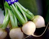 茄子ボート作り方1写真
