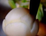 茄子ボート作り方7写真