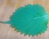 梅しそ納豆のゆば春巻作り方5写真