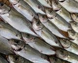 小鯵の南蛮作り方10写真