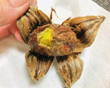 栗の皮が簡単に剥ける方法♬栗の茹で方作り方2写真