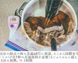 本格派！デミグラス煮込みハンバーグ作り方16写真