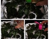 野菜の王様ケールでカレー味あおさチップス作り方4写真