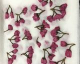 桜の塩漬け作り方11写真
