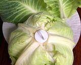 キャベツは外葉で包んで保存がおすすめ作り方4写真