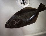 ヒラメの香草パン粉焼き作り方1写真