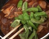 鶏もも肉ししとうのピリ辛トマトカレー作り方7写真