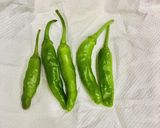 ししとうの保存(冷蔵がオススメ!)作り方1写真