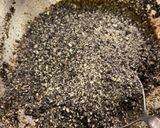 電子レンジで作る　茄子のごまよごし！作り方4写真
