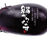 なすの浅漬け作り方6写真