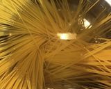 トマトパスタ作り方1写真