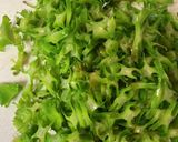 四角豆のサラダ！トマトと相性良し作り方3写真