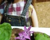 リカちゃん♡プルーンと鶏レバーバルサ絡め作り方15写真