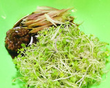 蕎麦とブロッコリースプラウトのもろみ和え作り方2写真