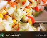 まんまケンタの味！簡単コールスロー作り方9写真