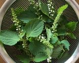 穂紫蘇の天ぷら作り方1写真