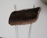 ブリの炙りネギぽん酢作り方4写真