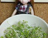 リカちゃん♡ブロッコリースプラウトサラダ作り方1写真