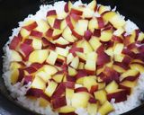 調味料は塩だけ！簡単さつま芋ごはん作り方4写真