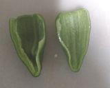 ピーマンの納豆詰め作り方1写真