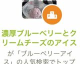 濃厚ブルーベリーとクリームチーズのアイス作り方7写真
