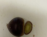 今が旬♩普通の栗ご飯作り方10写真