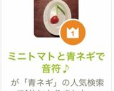ミニトマトと青ネギで音符♪作り方27写真