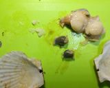 ホタテのセージバター焼き作り方2写真