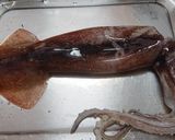 イカのチーズポンポン焼き作り方1写真