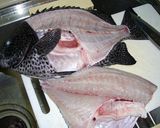 ひと味違うよ♫イシガキダイの昆布〆♡作り方4写真