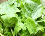 おろ抜き大根(大根)の葉のしらす和え作り方1写真