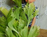 リカちゃん♡セロリのナンプラーサラダ*.作り方1写真