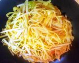 意外に簡単に出来る 残り物で梅蘭焼きそば作り方4写真