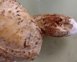 松茸ご飯作り方4写真