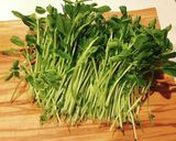 【安い!簡単!】豆苗のピリ辛炒め作り方3写真