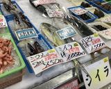 シイラのムニエル、ガリバタ味作り方1写真