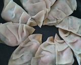ネギと挽き肉だけ！すぐでき餃子☆作り方1写真