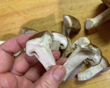 たっぷりきのこの炊き込みごはん作り方4写真
