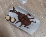 チョコのカブトムシとクワガタ作り方4写真