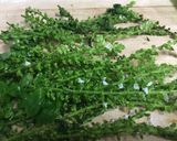 簡単・美味しいご飯のお供作り方1写真