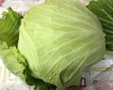 キャベツは外葉で包んで保存がおすすめ作り方11写真