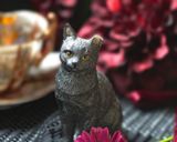 ラム酒たっぷり*ラムレーズンと洋梨ケーキ作り方33写真