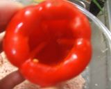 レッドカレー★ピーマンの肉詰めカレー作り方2写真