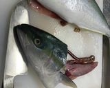 ワカシの刺身〜三枚おろし〜作り方6写真