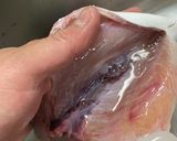 ワカシの刺身〜三枚おろし〜作り方7写真
