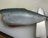 ワカシの刺身〜三枚おろし〜作り方12写真