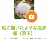 絵に描いたような温泉卵（温玉）作り方43写真